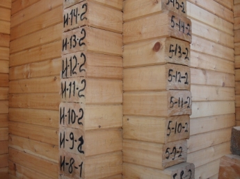 Профилированный кедр 145*240