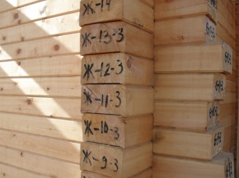 Брус из кедра 145*240