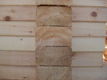 Брус из кедра 145*240