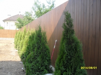 Косой планкен 20*120 для забора