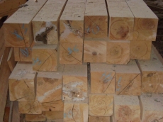 Брус из кедра 205*205
