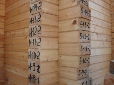 Профилированный кедр 145*240