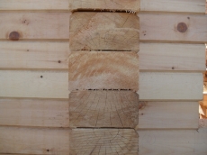 Брус из кедра 145*240